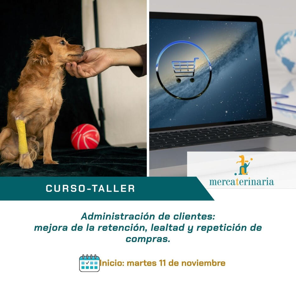 Curso marketing digital veterinaria