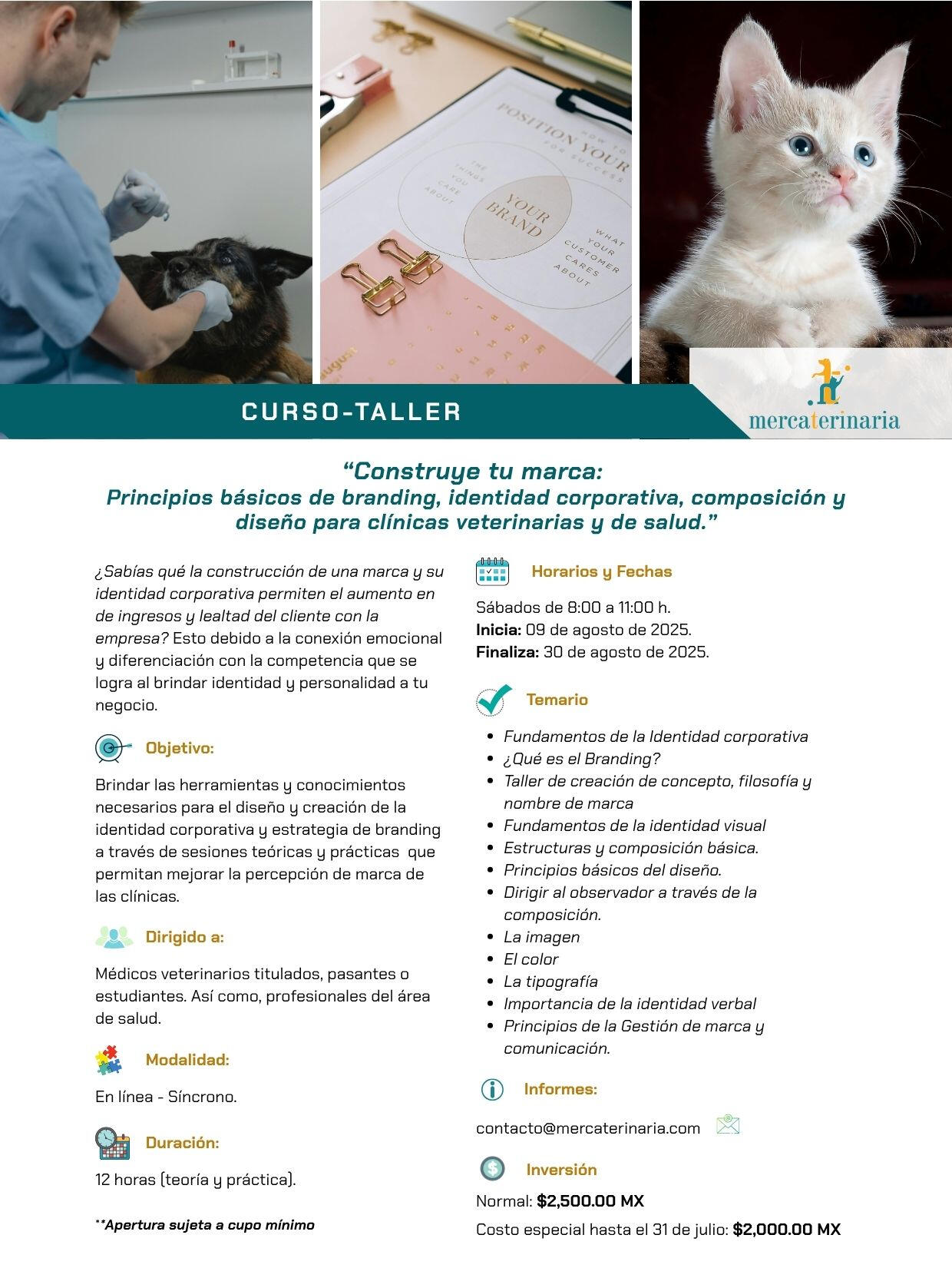 Plan de estudios branding